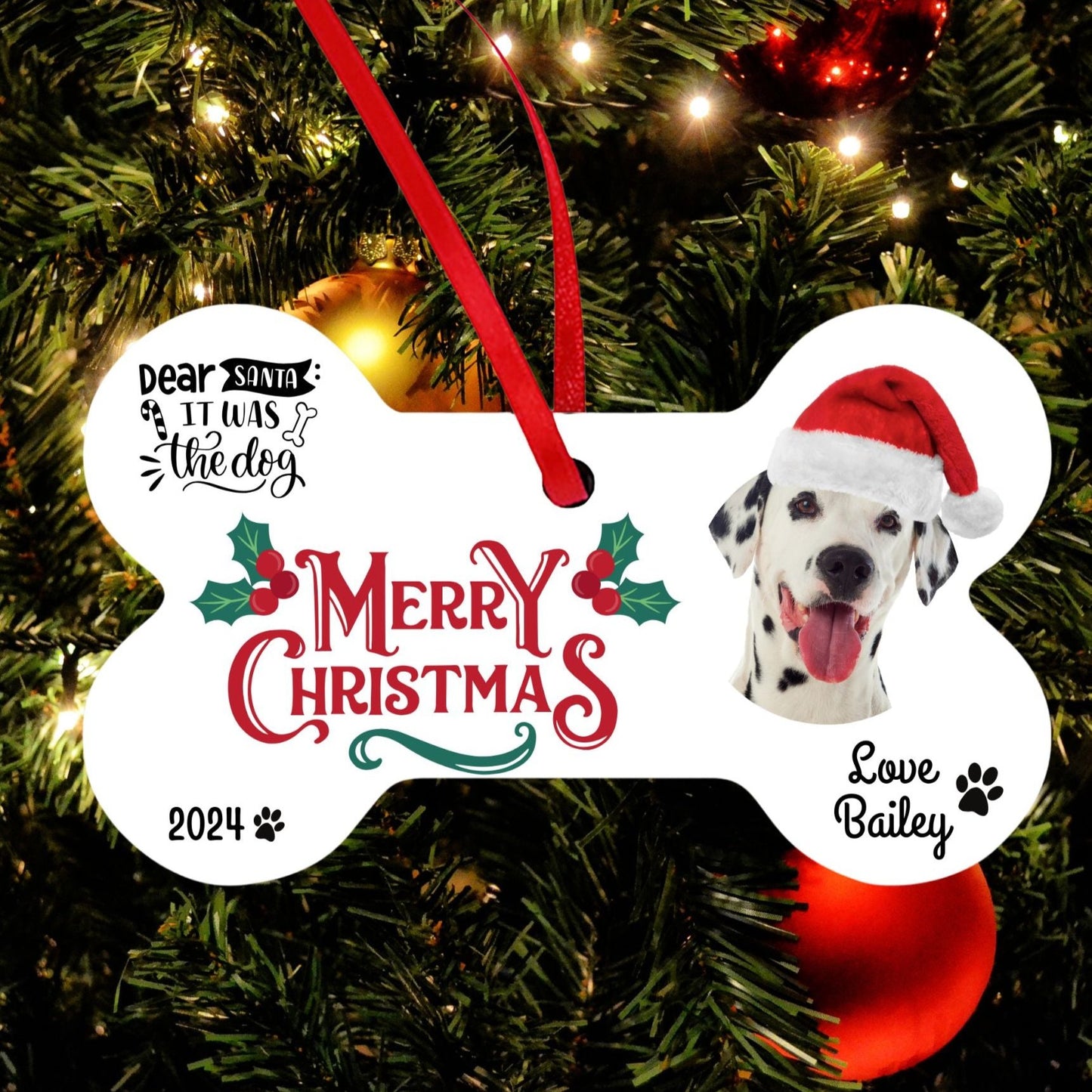 D2 Pet Christmas Dog - Customized with name and photo of dog