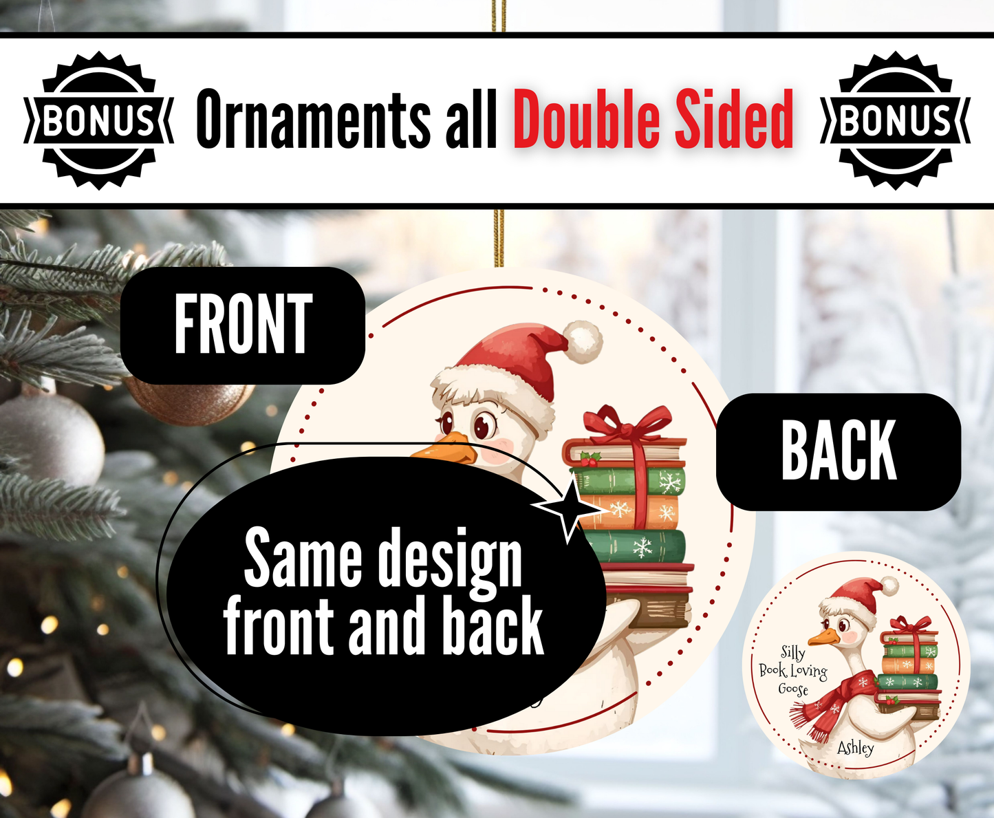 H1. Silly Goose - Book loving Goose