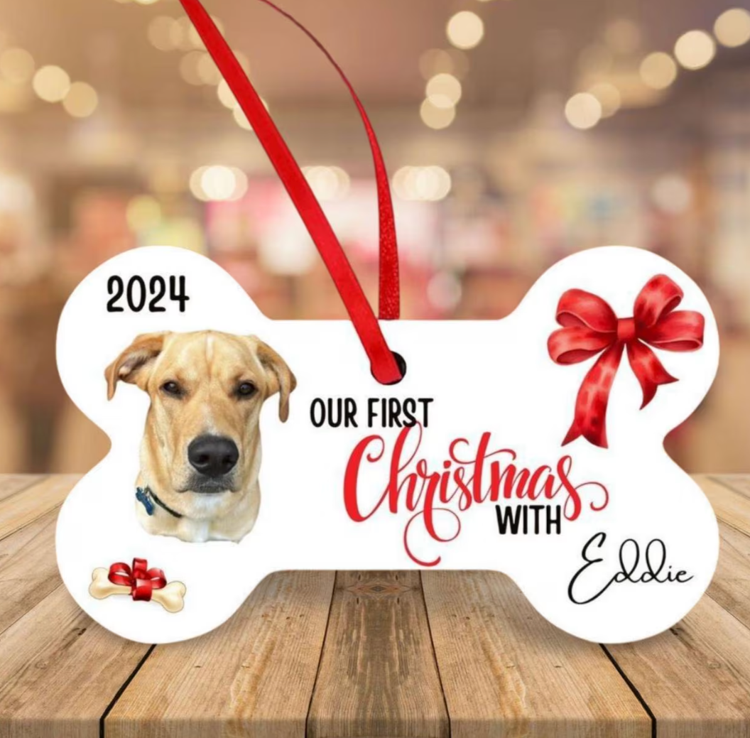 First Christmas with Puppy / dog