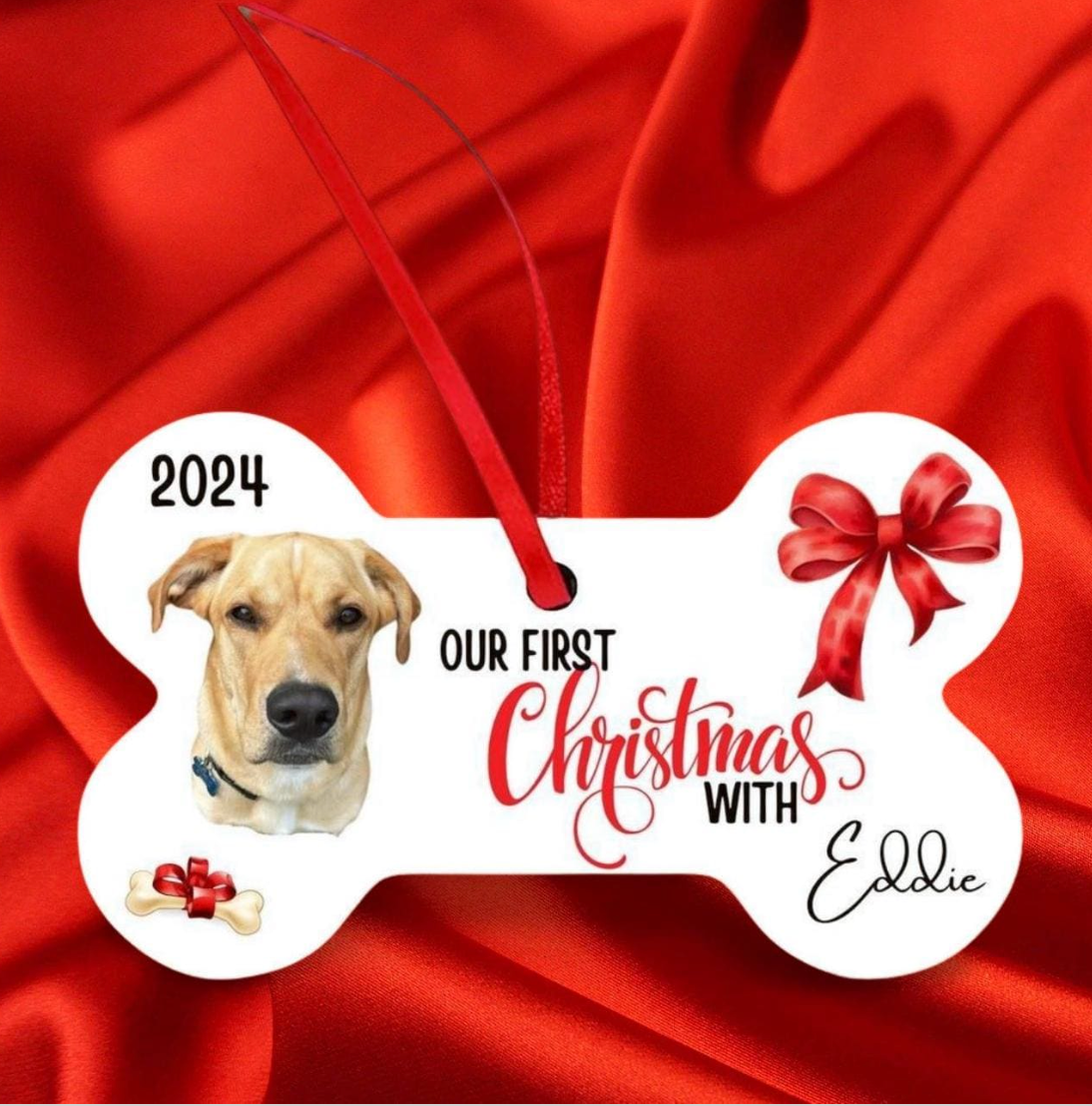 First Christmas with Puppy / dog