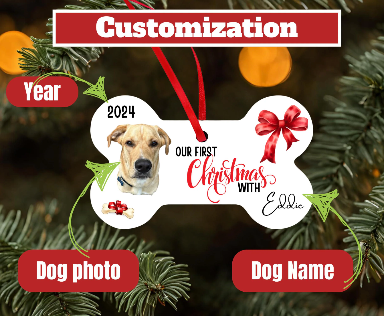 First Christmas with Puppy / dog