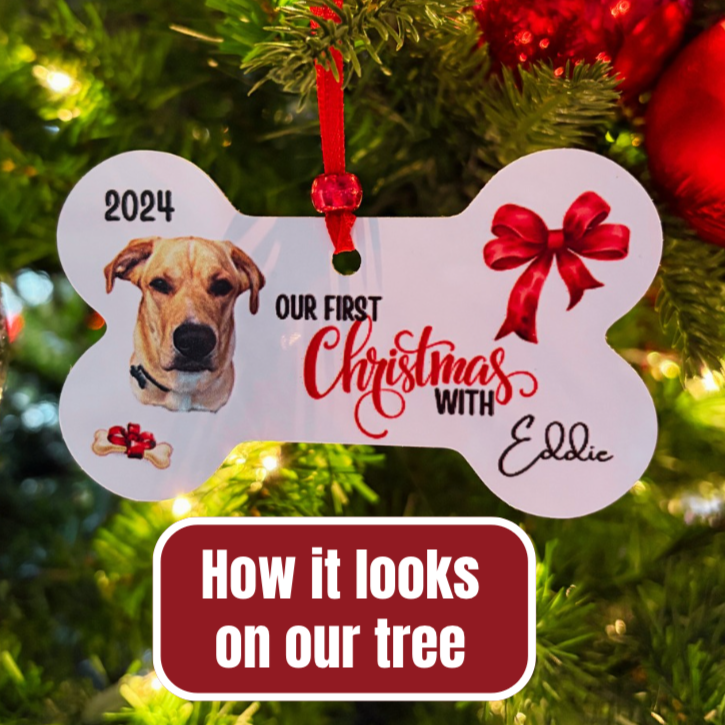First Christmas with Puppy / dog