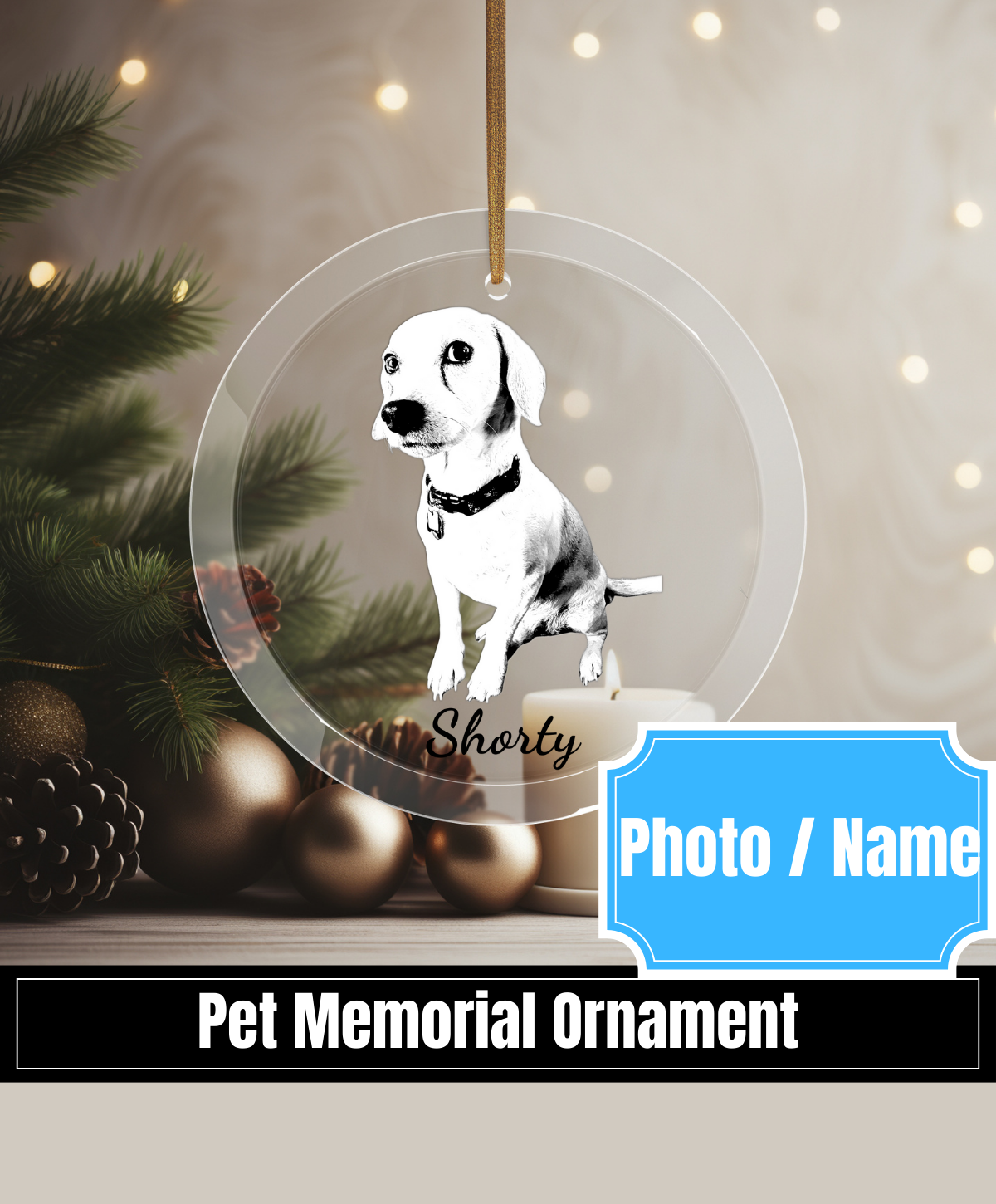 Pet Memorial